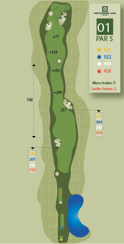 Hole1Image